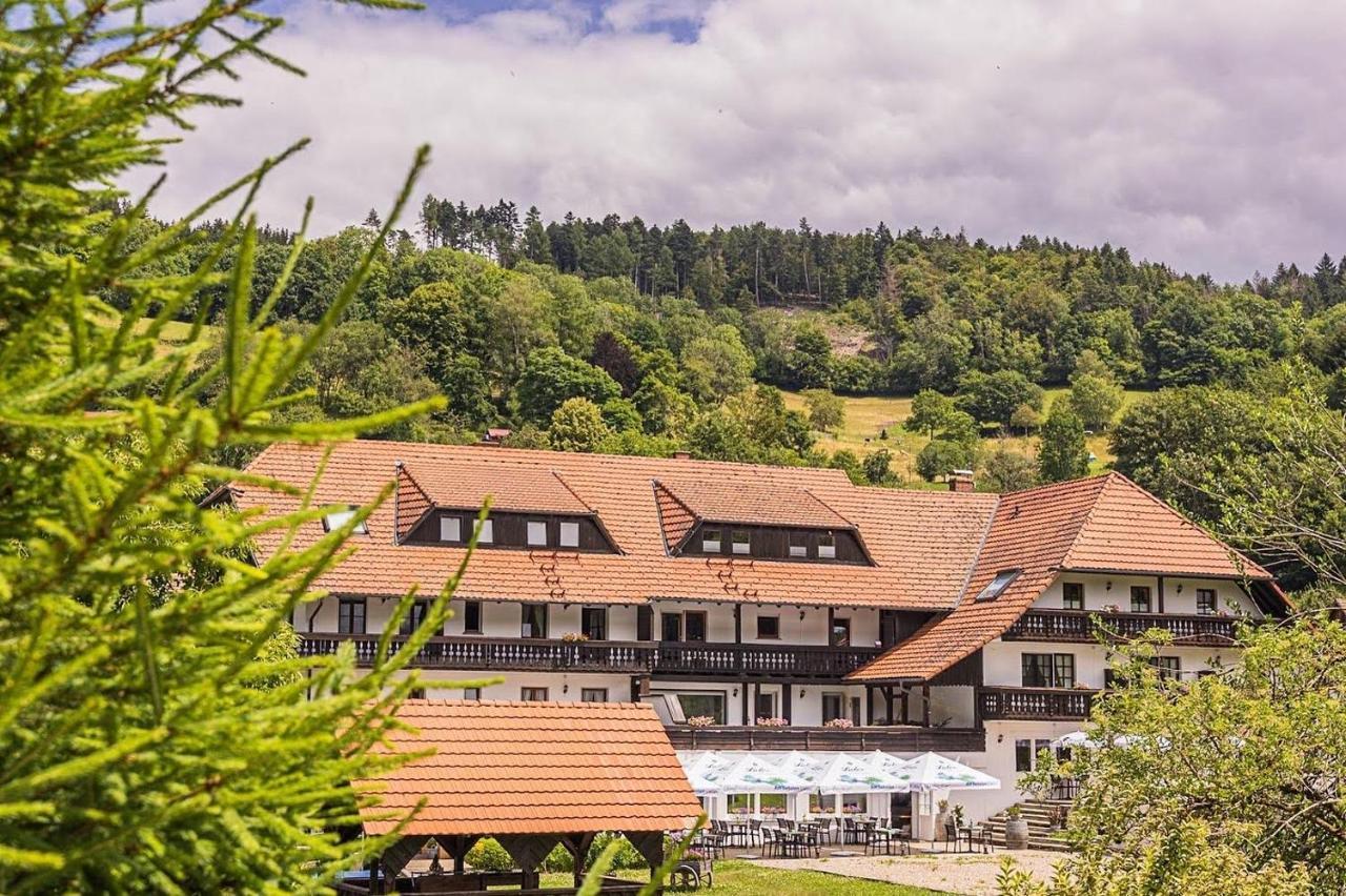 Boutique Wellnesshotel Landmann Штайнен Экстерьер фото